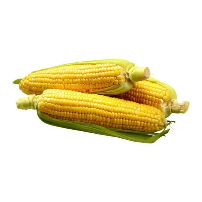 Sweet Corn - 3 Pieces - Image 1