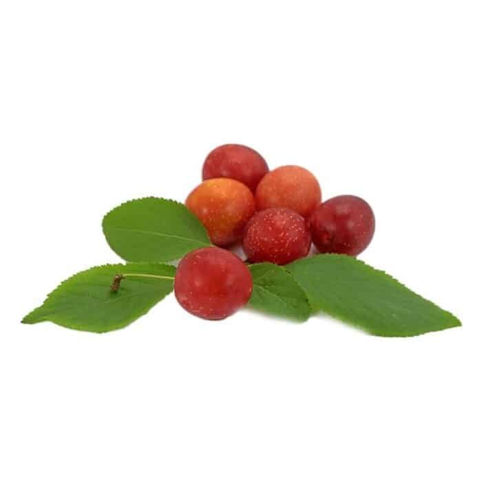 Sukkari Prunes - By Weight  1Kg - Image 1