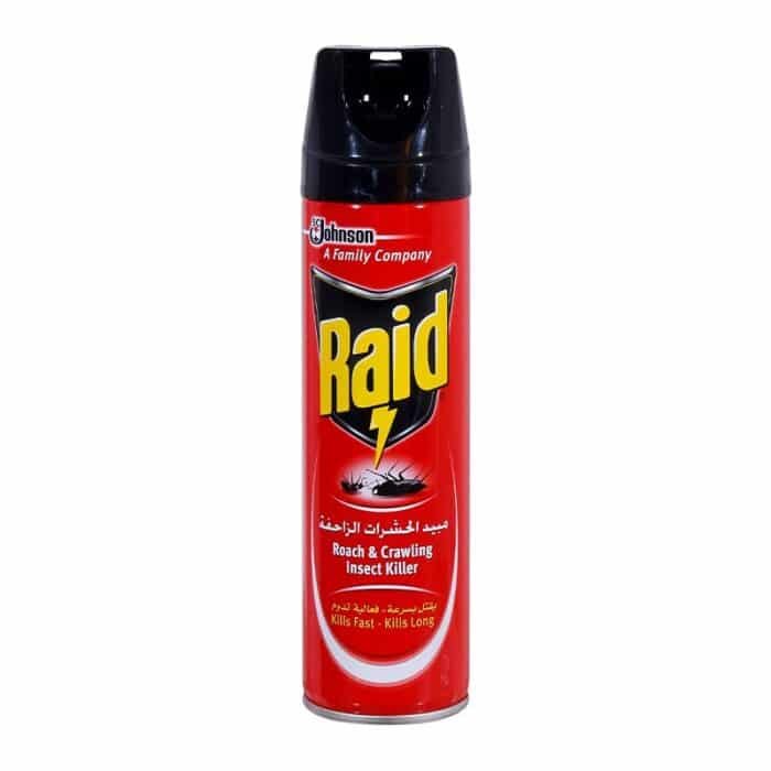 Raid Crawling Insect Killer - 300ml - Image 1