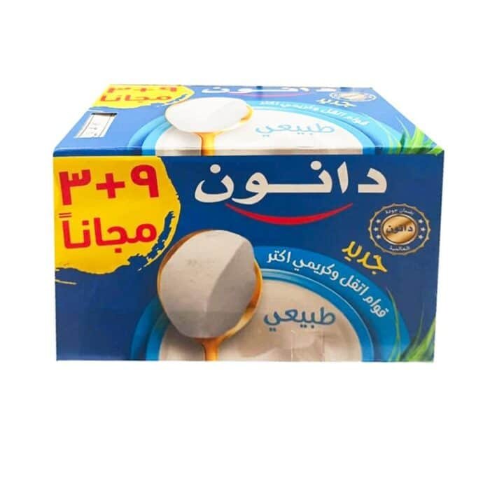 Danone Natural Yogurt - 100g x 12 Pieces - Image 1